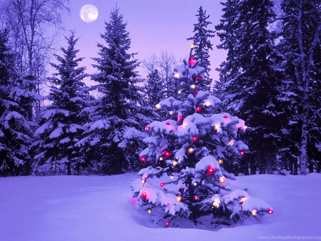 22 christmas wallpapers free chrsitmas tree out in the snow ...