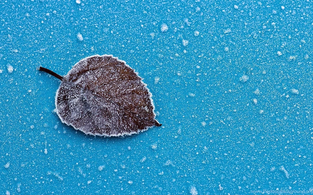 Snow Wallpapers Archives Wallpapers HD Free Wallpapers In All ...