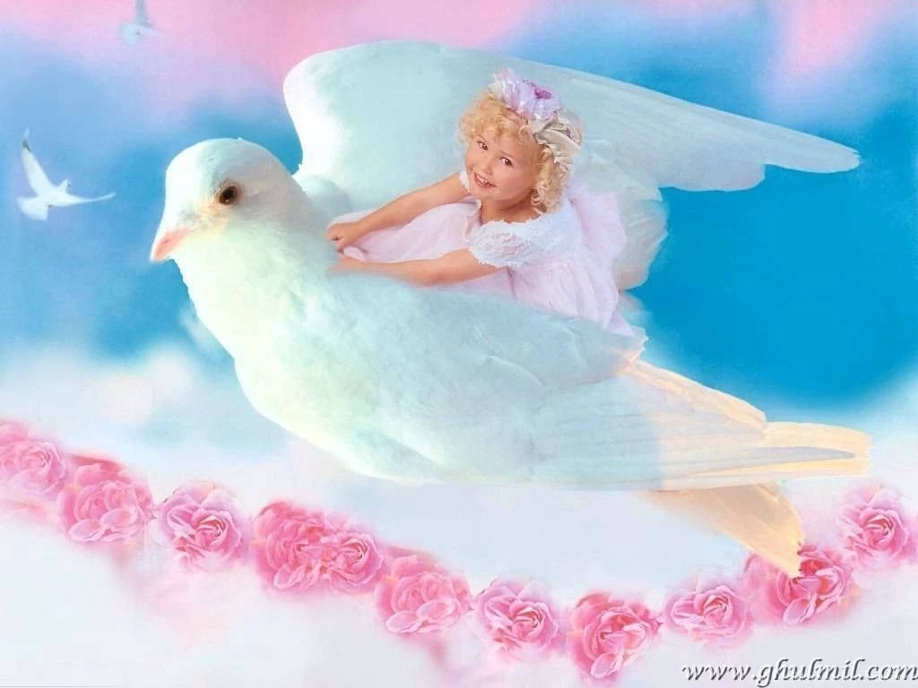 Desktop baby animals wallpaper download.jpg