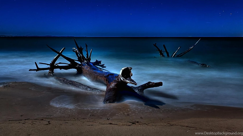 Beached Driftwood On A Starry Night >> HD Wallpaper, Get It Now!