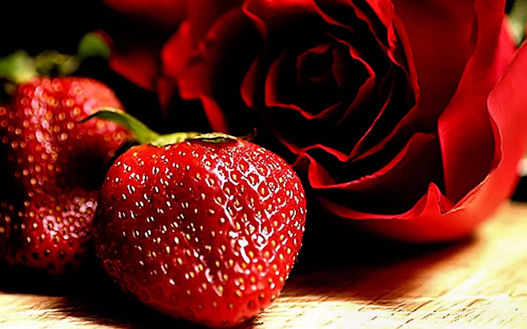 Free Romantic Red Rose Computer Desktop Wallpapers