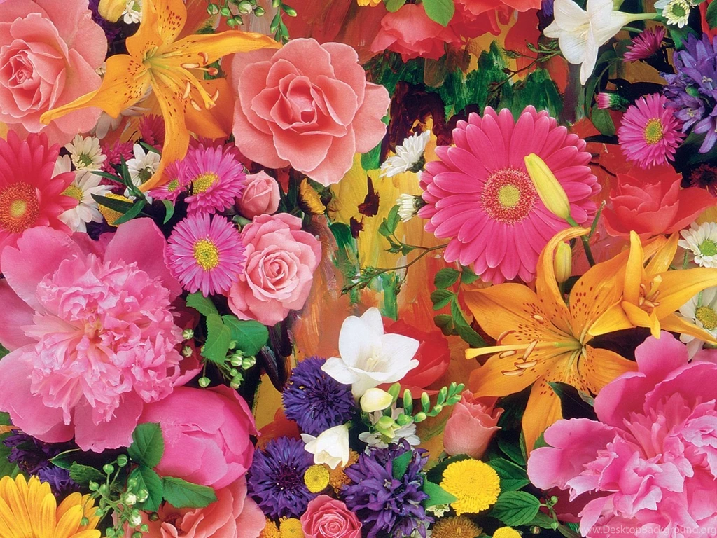 Flowers Backgrounds 8227 HD Wallpapers Site