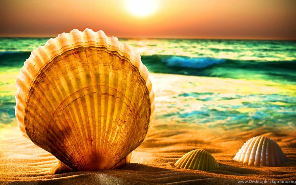 Summertime (