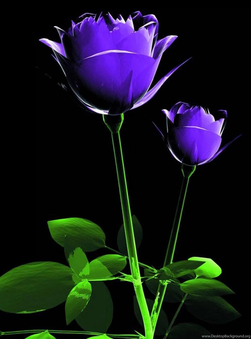 Nature Wallpapers For Mobile Free Download Wallpapers HD Base
