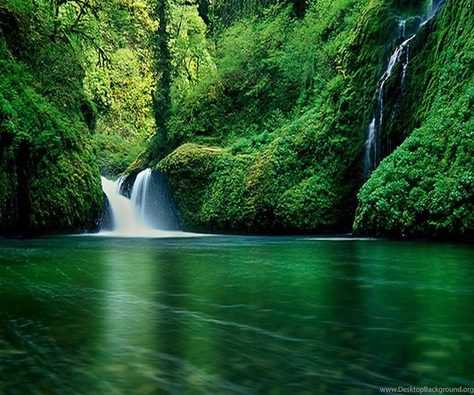 Samsung Large screen Android Mobile Phone Wallpaper 24_New Mobile ...