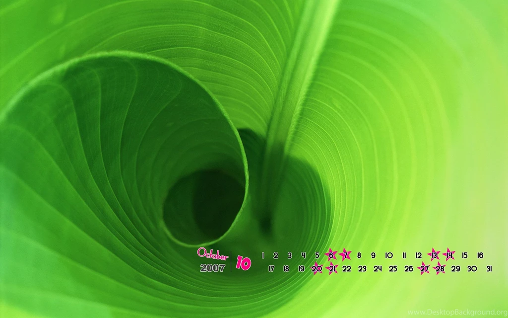 Large Widescreen Natural Flowers19_High Definition Wallpapers ...