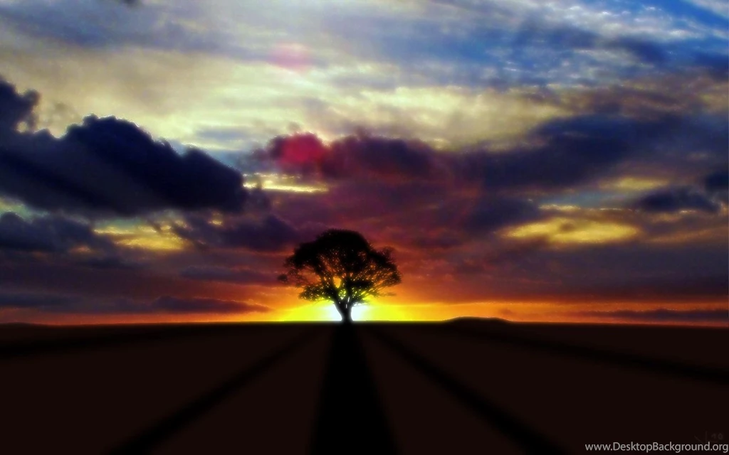 Large_High Definition Wallpapers