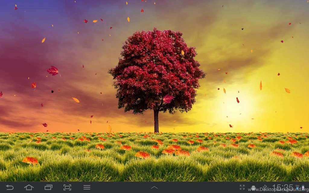 Autumn Trees Live Wallpapers Android Apps And Tests AndroidPIT