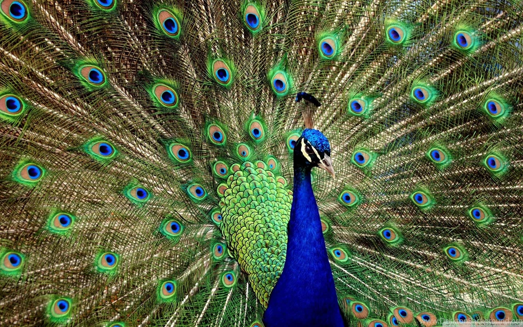 Destroyed Berlin Wall 1200x800px