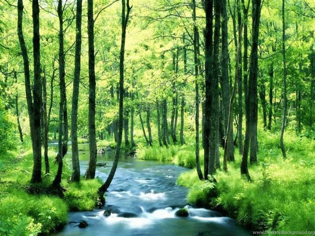 Most Beautiful Nature Wallpapers