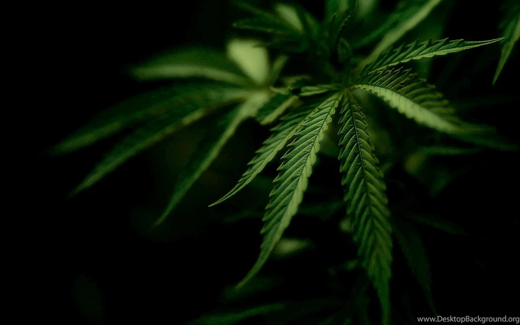 Weed Desktop HD Wallpaper, Weed Backgrounds, New Wallpapers