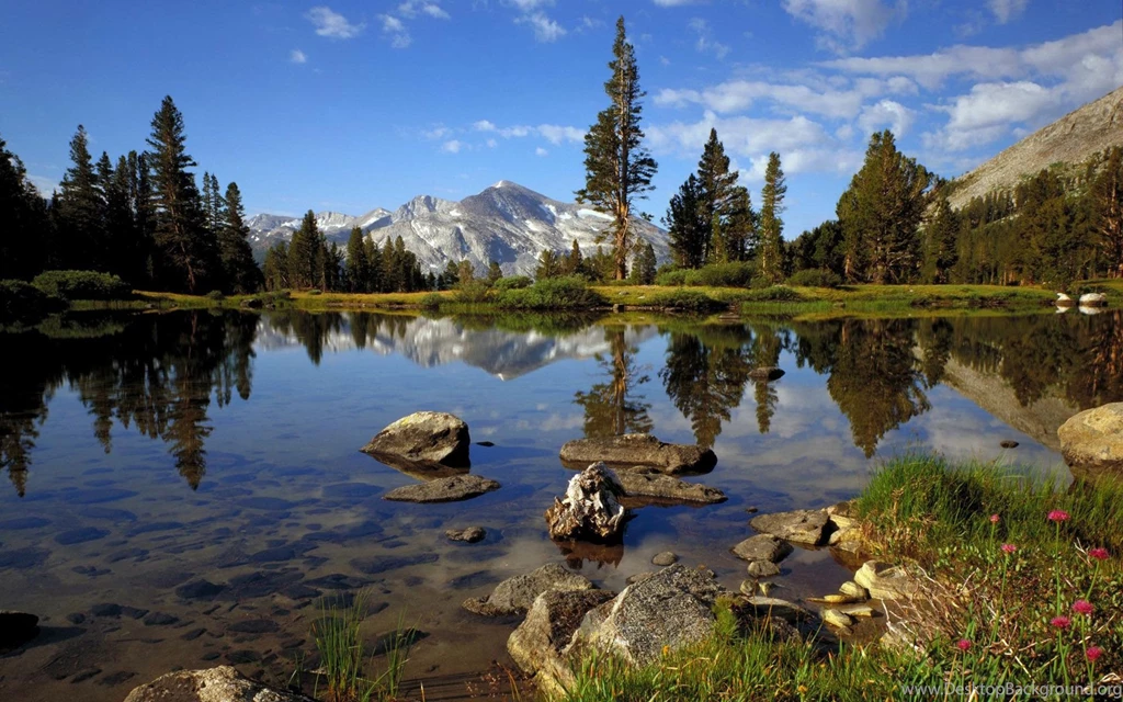 Picturesque Landscapes (landscape Picturesque Second Series 1920 ...