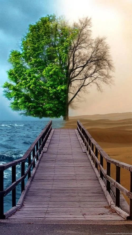 10 Highly Detailed Wallpapers For Iphone 5