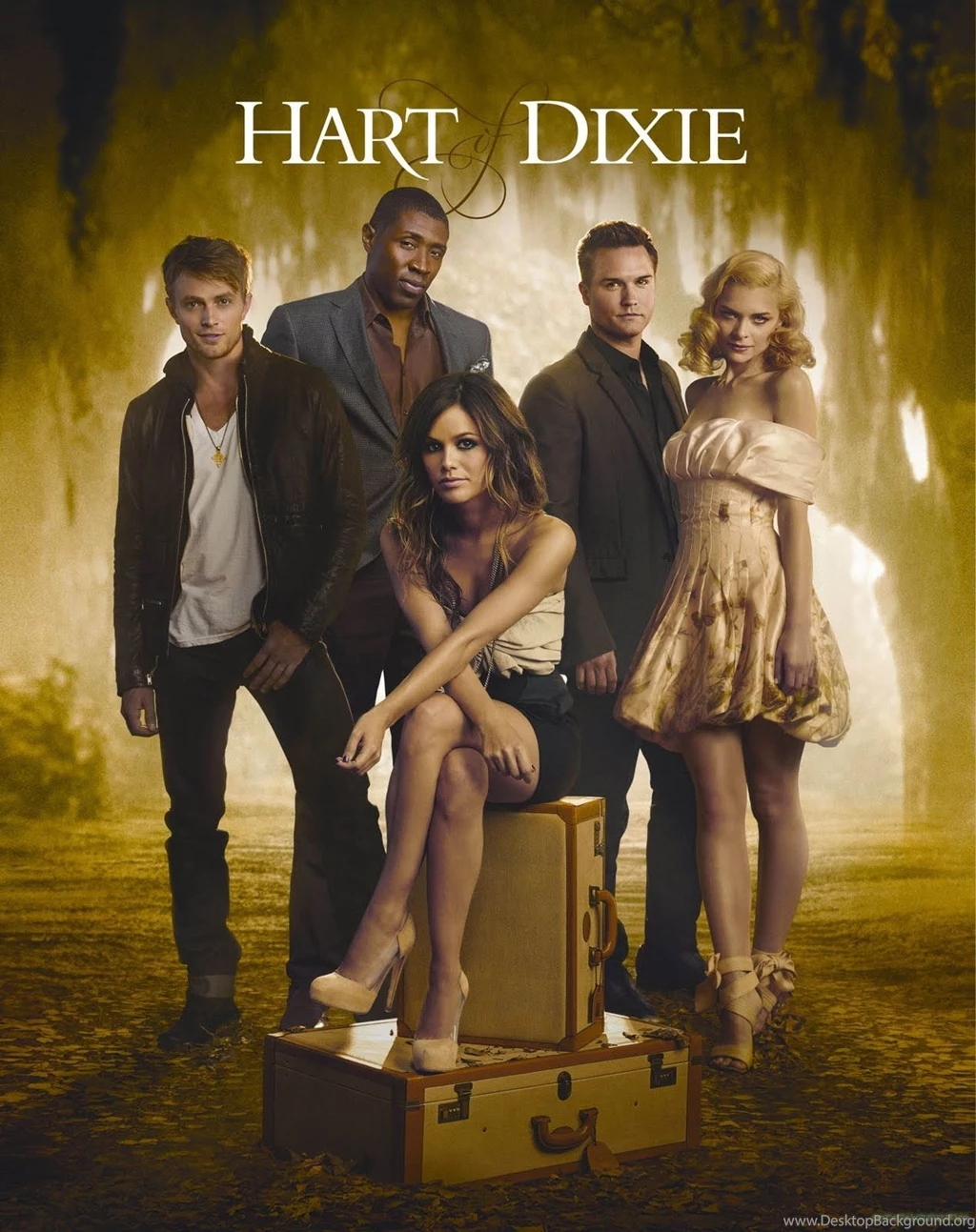Hart Of Dixie Season 3 DVD   Wallpaper.
