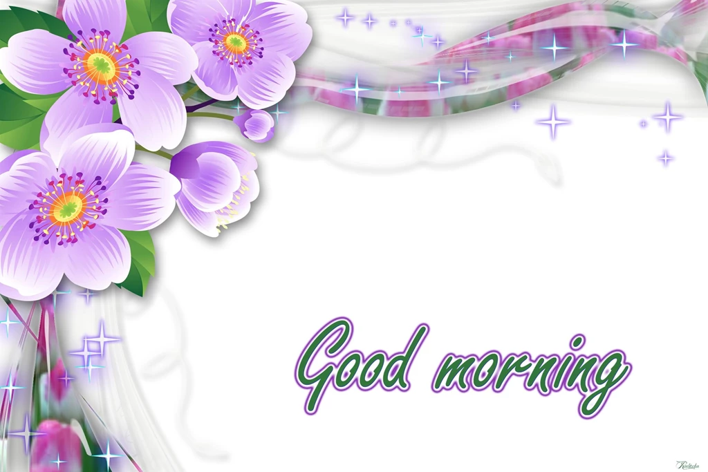 Free Download Good Morning Wishes HD Wallpapers, Quotes