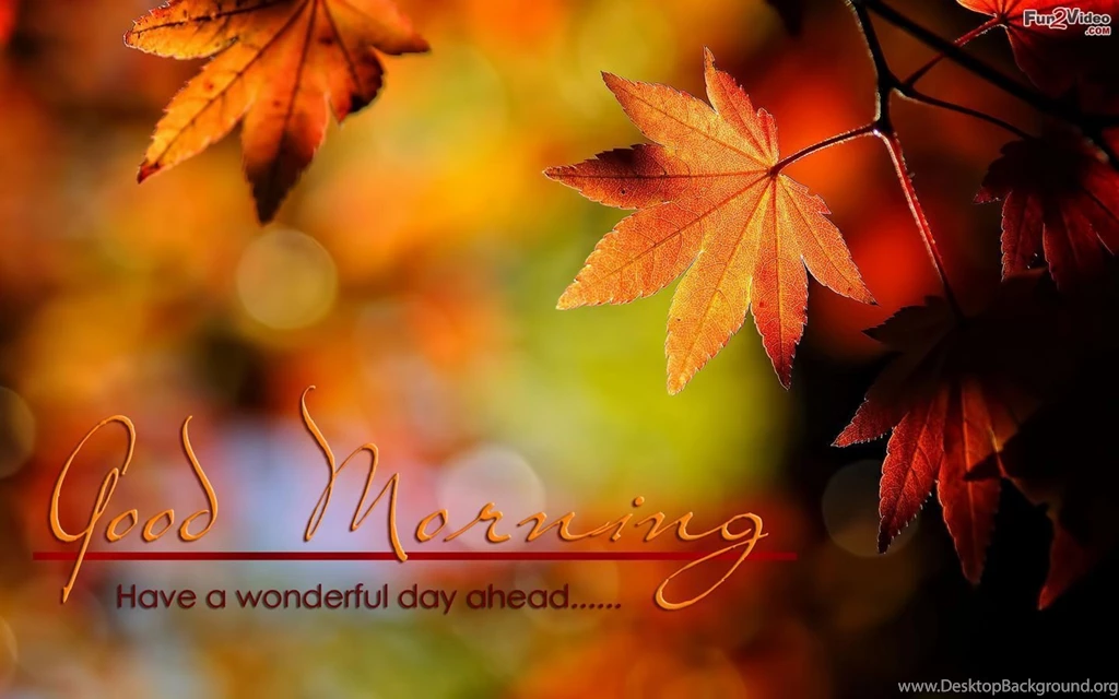Good Morning Pictures, Images, SMS And Good Morning Quotes New ...