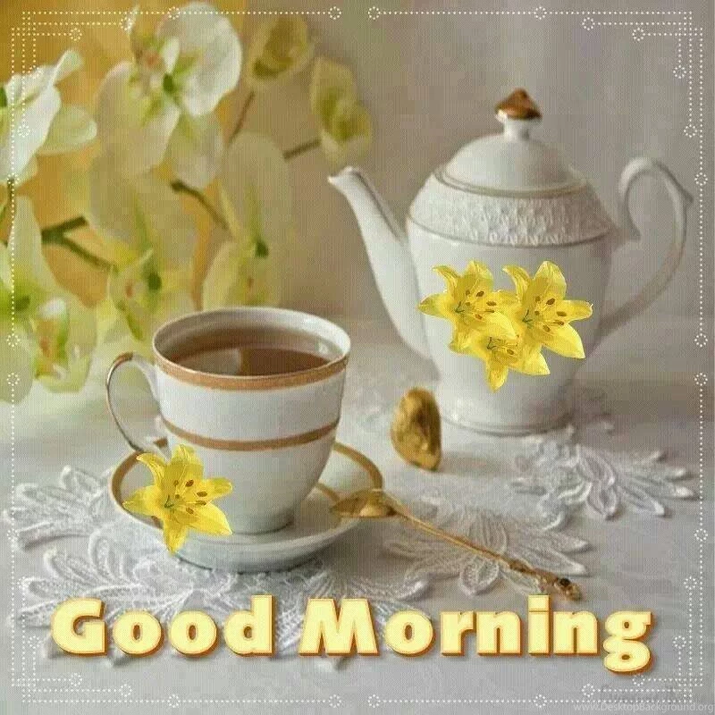 Beautiful And Attractive Good Morning Wallpapers For Desktop ...