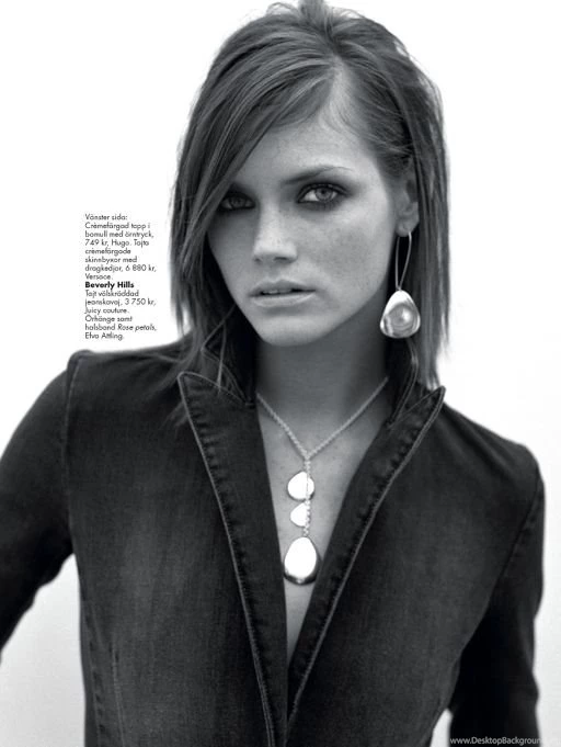 Diary New Model: Mar 13, 2012