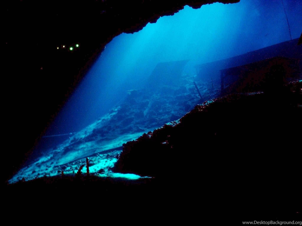 Amazing Deep Sea Wallpapers Free Android Application Createapk.com