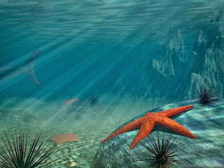 HQ Wallpapers Plus Provides Different Size Of Beautiful Deep Sea ...