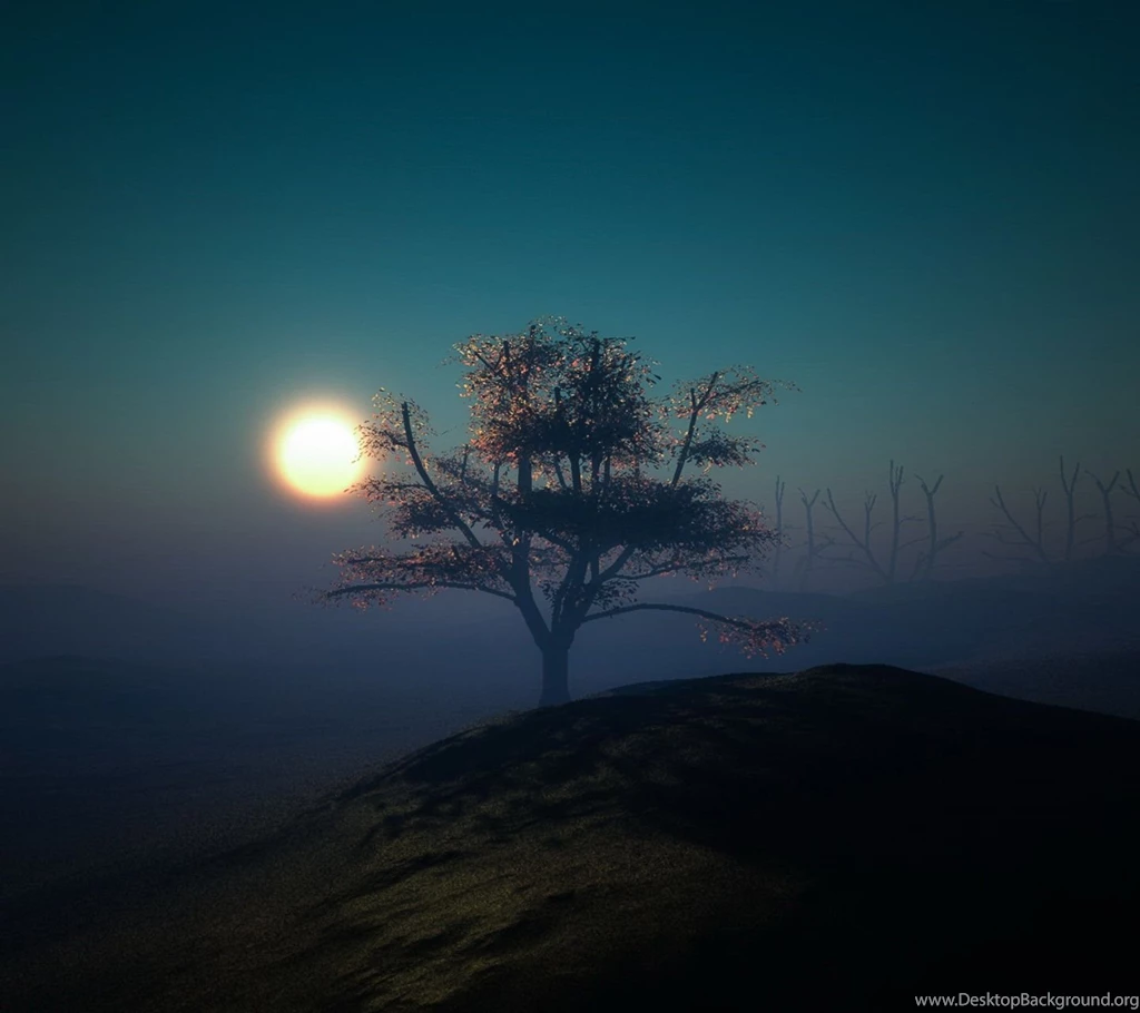 Today's Wallpapers 15/10/2014