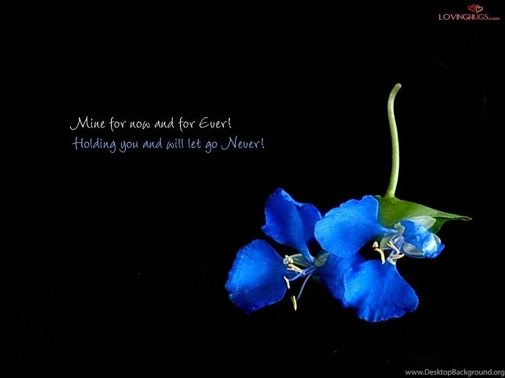 Famous Quotes About 'Wallpaper' QuotationOf . COM