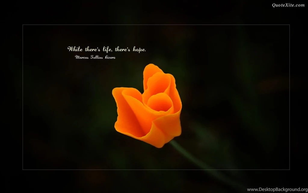 Quote Wallpaper109 Widescreen Quotes Wallpapers