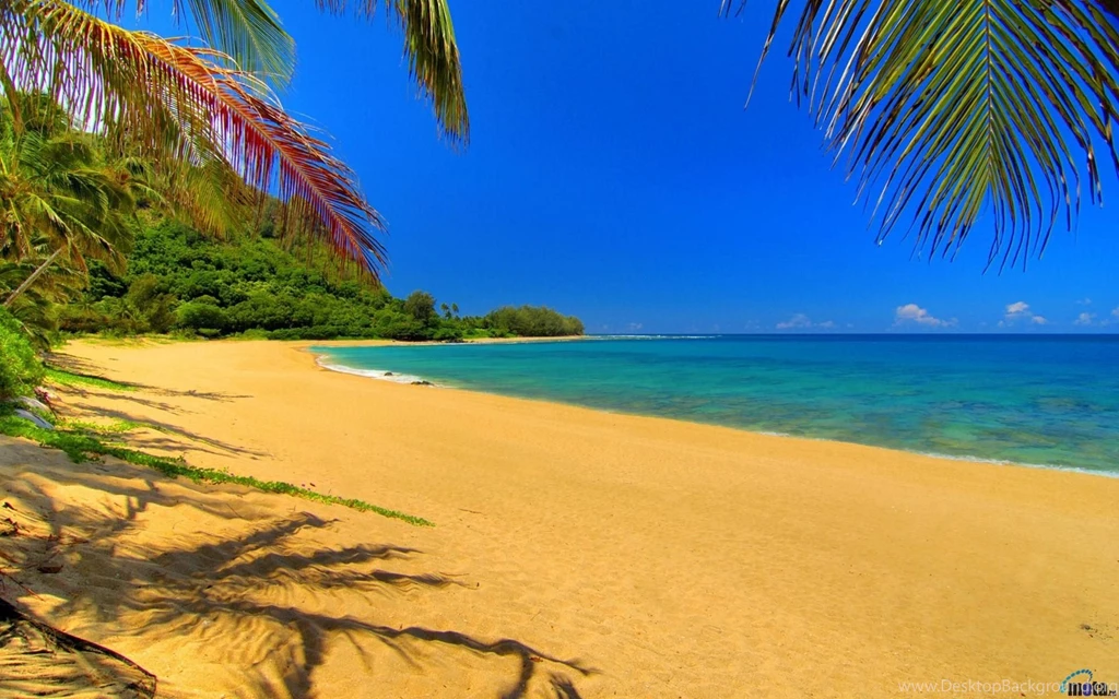 1547x1100px Hawaii Beach Wallpapers
