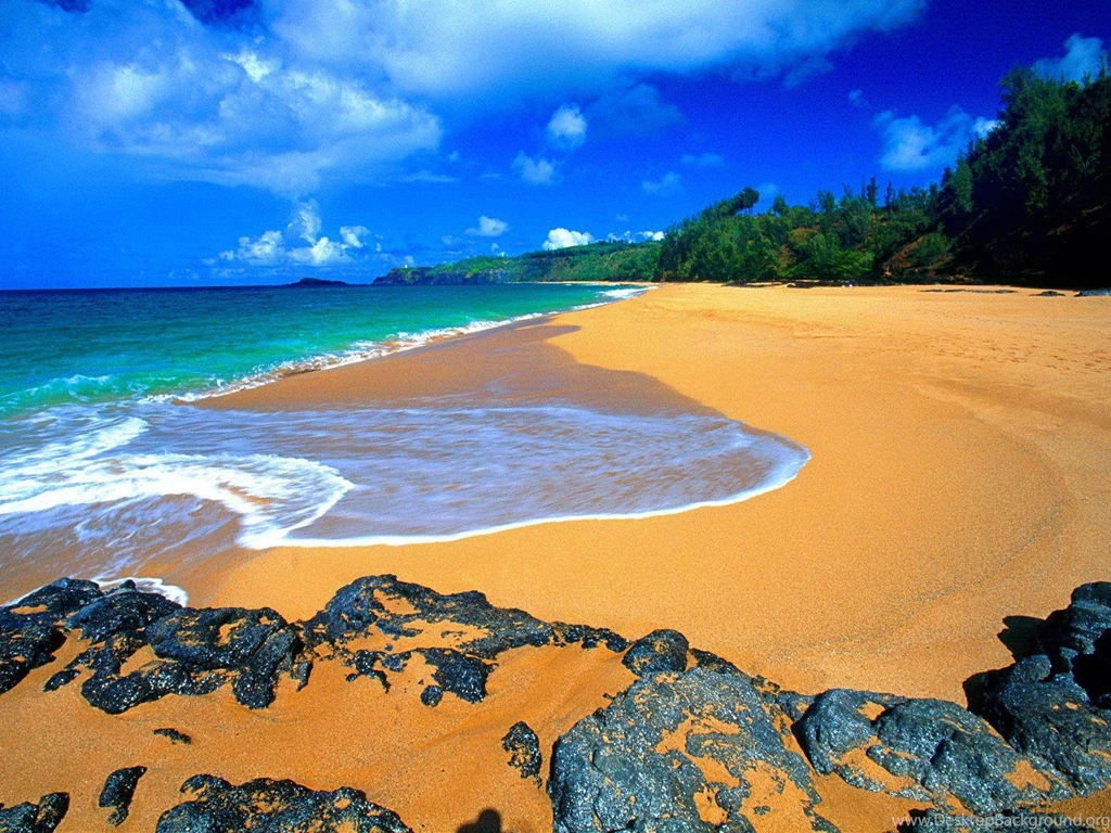 Hawaii Beach Wallpapers Wallpapers Cave