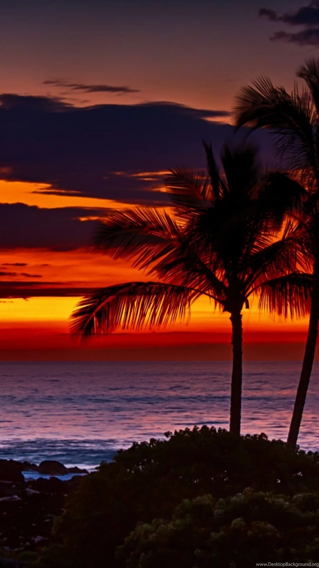Hawaii Orange Sunset S4 Wallpapers
