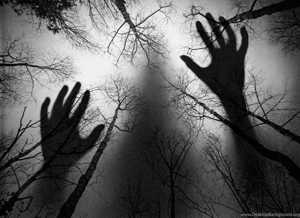 Summer Wallpapers By Emats Photos Of Saving The Money With Free ...