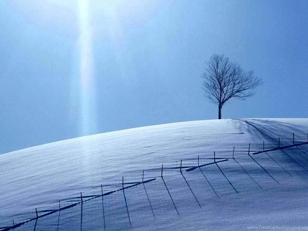 Simple Looking Snow Nature Wallpapers
