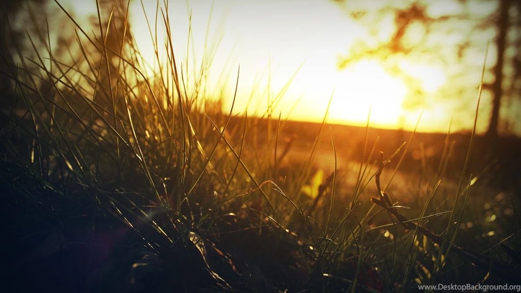 Things Are Simple and Clear Under the Sun s Golden Light a New Day ...