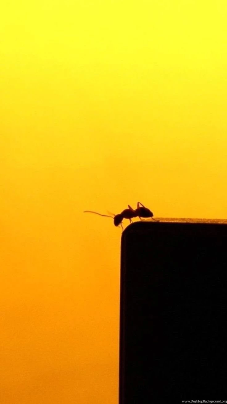 TAP AND GET THE FREE APP! Animals Ant Yellow Insect Minimalistic ...
