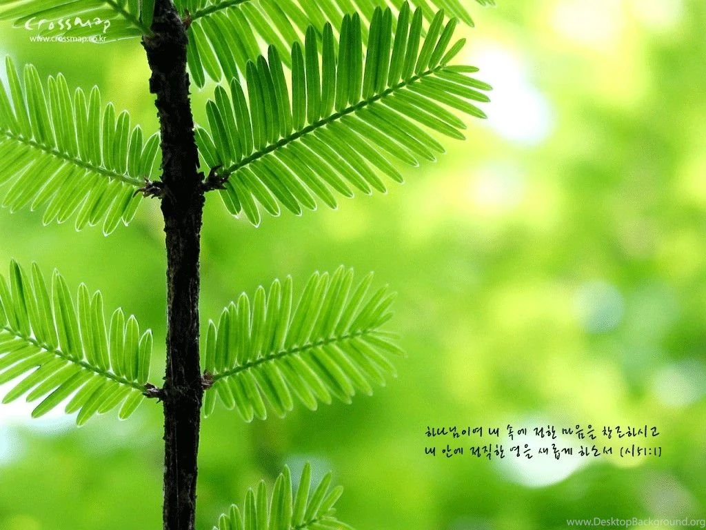 Pictures > Christian Desktop Wallpapers With Bible Verses In English