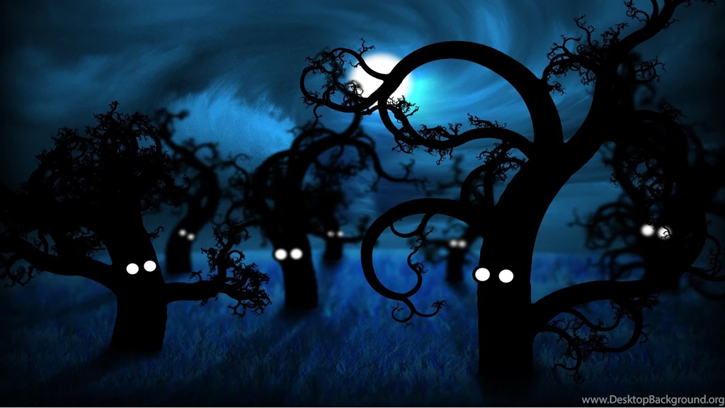 Midnight Forest, Haunted, 2560x1440 HD Wallpapers And FREE Stock Photo