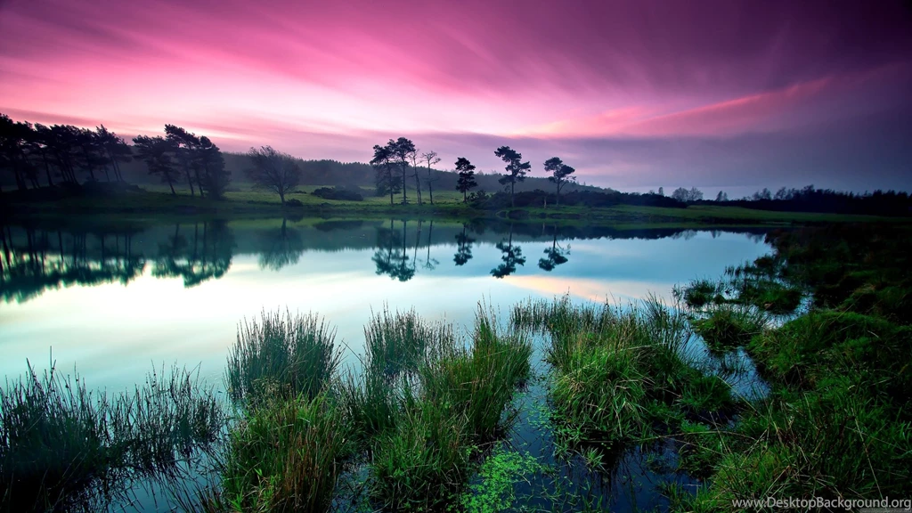 Peaceful Nature, Stunning, Best, 2560x1440 HD Wallpapers And FREE ...
