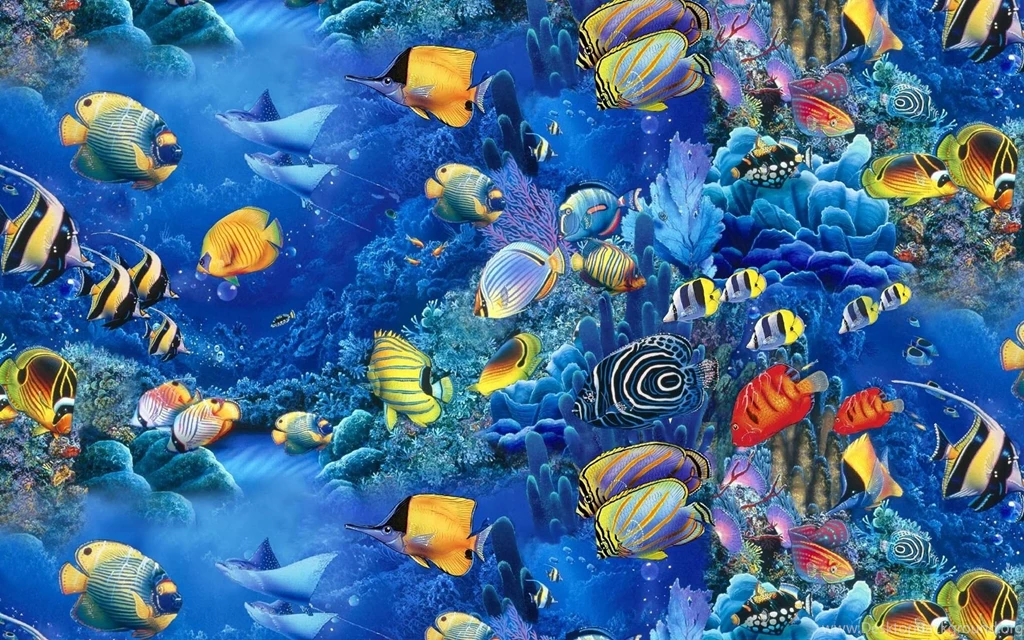 Fish Wallpapers Hd Awesome Fullwidehd.com