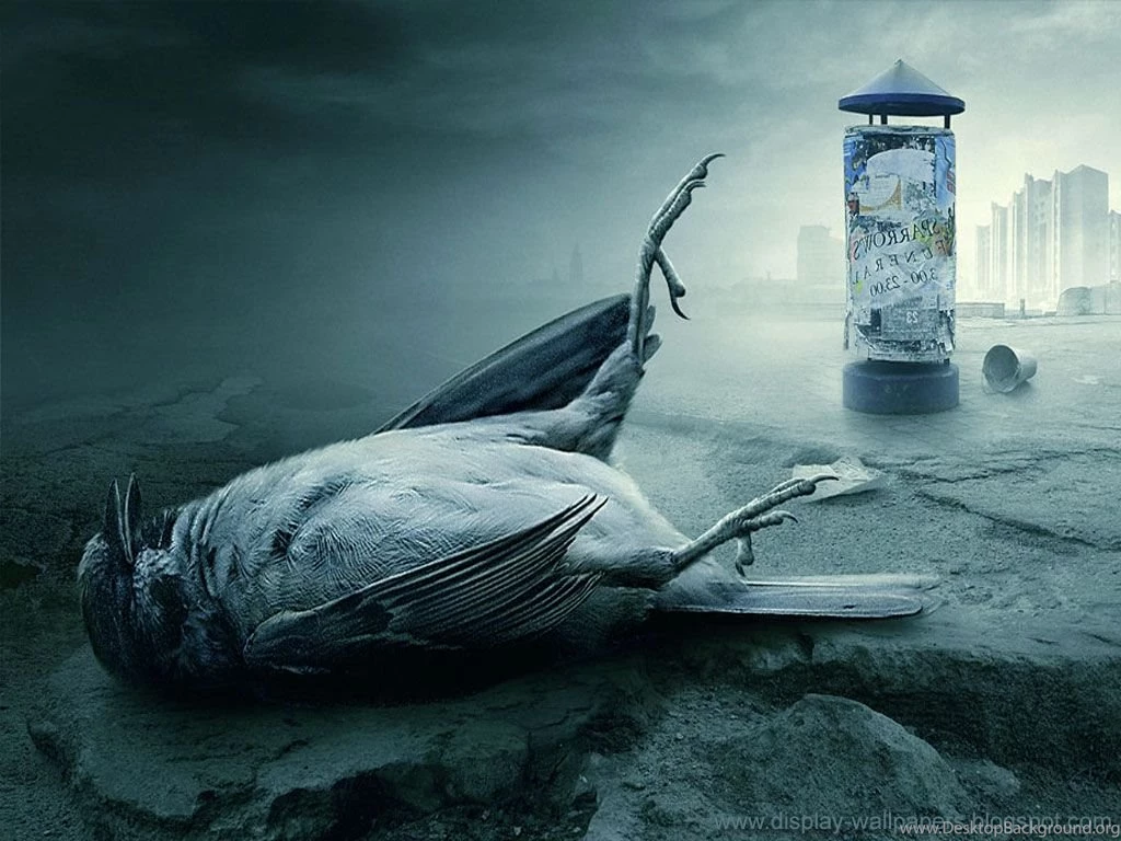 Horror Wallpapers HD