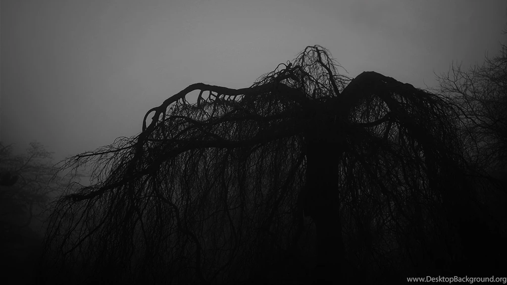 Trees Fog Mist Mood Bokeh Park Garden Druid Nature Dark Wallpapers ...