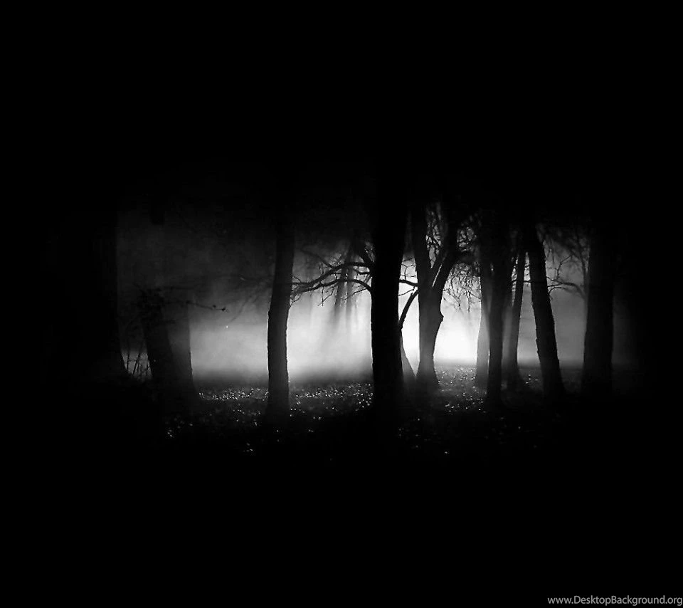 Dark Trees HD Wallpapers – Wallpaper202