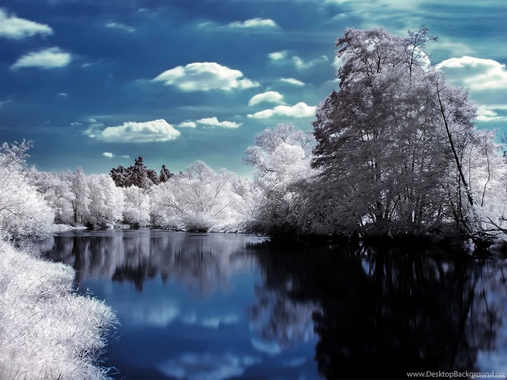 The Dark Tree Wallpapers By Nxxos On DeviantArt