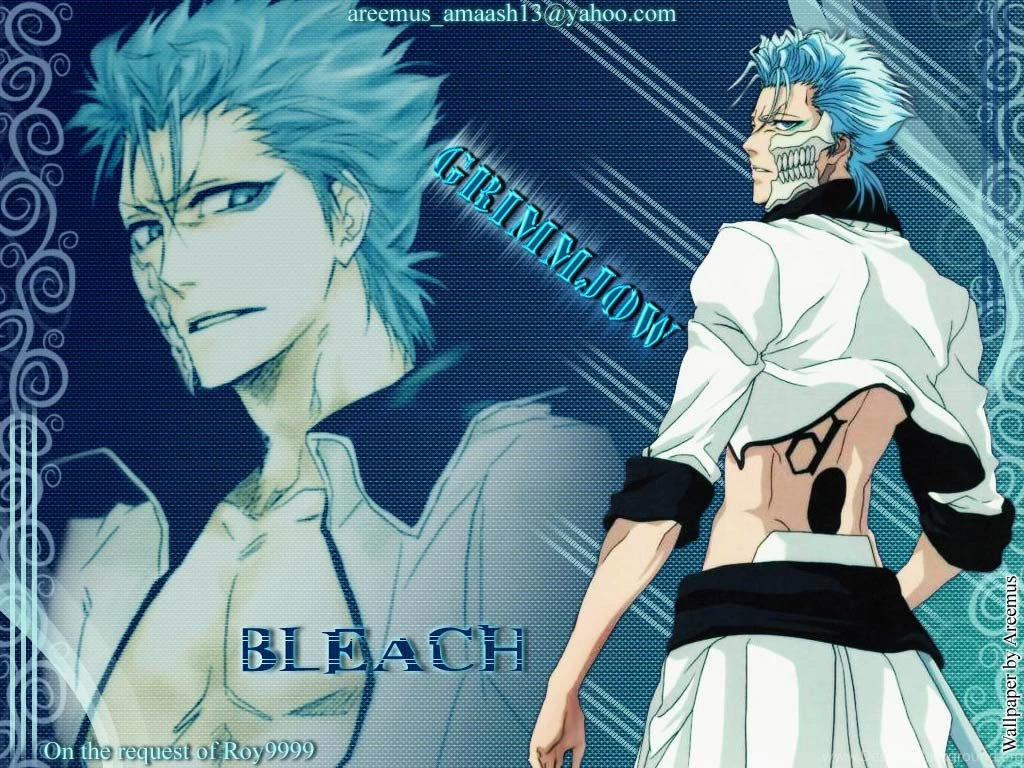 Grimmjow ♥   Grimmjow Jeagerjaques Wallpapers (25526378)   Fanpop