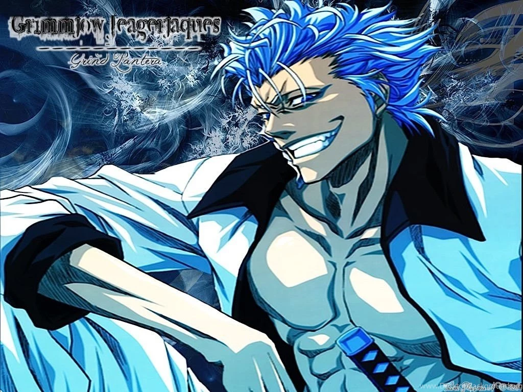 Grimmjow Jeagerjaques Wallpapers 49 Cool Wallpapers   Animewp.com