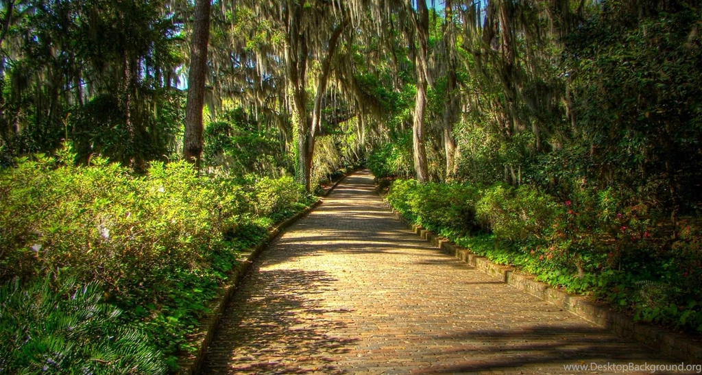 Plants, Green, Fresh, Flowers, Widescreen, Cool Wallpapers ...