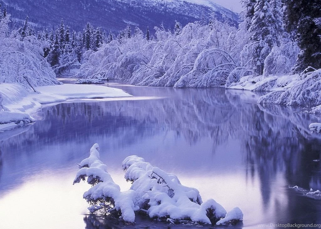 Widescreen Winter Wallpapers