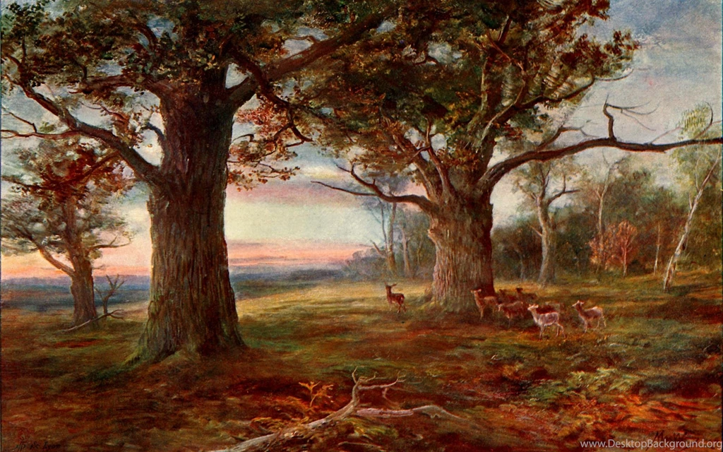 Nature, Wallpaper, Impressive, Shots, Landscape, Desktop ...