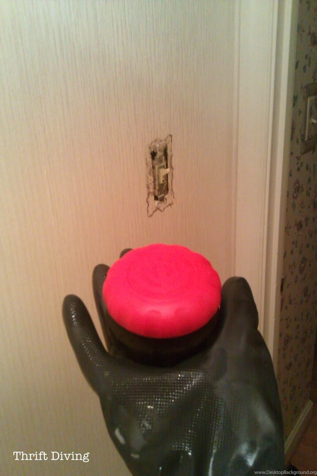 Don't Forget Where You Started   Thrift Diving Blog : Thrift ...