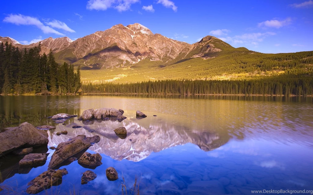 Windows 7 Official Wallpapers   44156