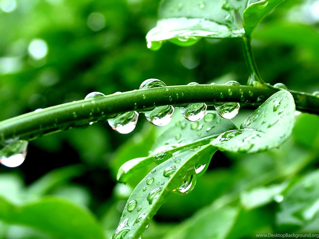 Nature Wallpapers Hd